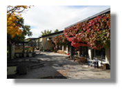 Kinderhaus St. Korbinian Das farbige Foto zeigt das Kinderhaus St. Korbinian in Unterschleißheim von außen. Rotgefärbtes Laub hängt malerisch über den Eingangsbereich